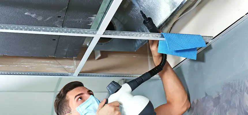 Our Air Duct Rodent Removal Services in Dyer, IN
