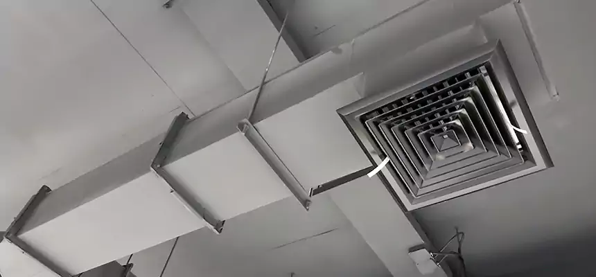 Our Rodent Droppings In Vents Services in Dyer, IN