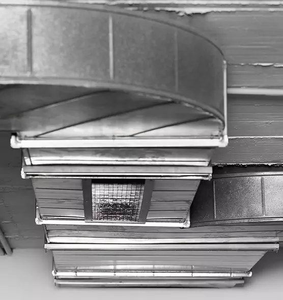 Professional Air Duct Pest Removal in Dyer, IN