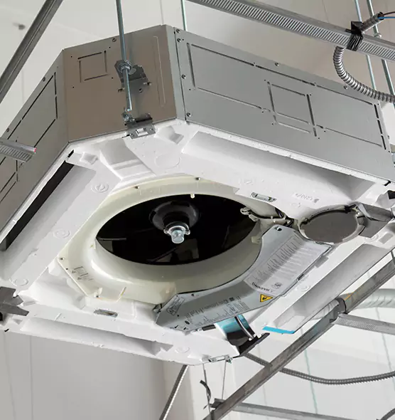 Professional Roof Vent Lint Removal Dyer, IN